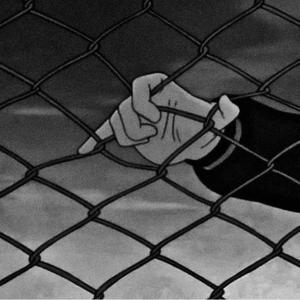 最新午夜福利电影网站在线看
